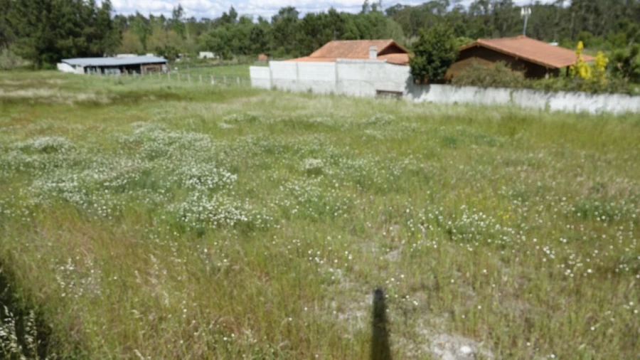 Terreno para Venda em Marinha Grande Foto 5