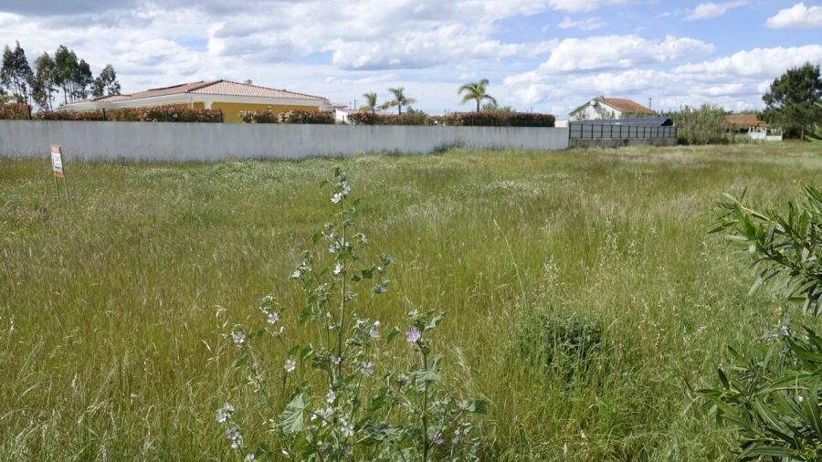 Terreno para Venda em Marinha Grande Foto 6
