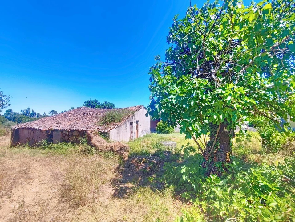 Terreno para Venda em Maçãs de D. Maria Foto 4