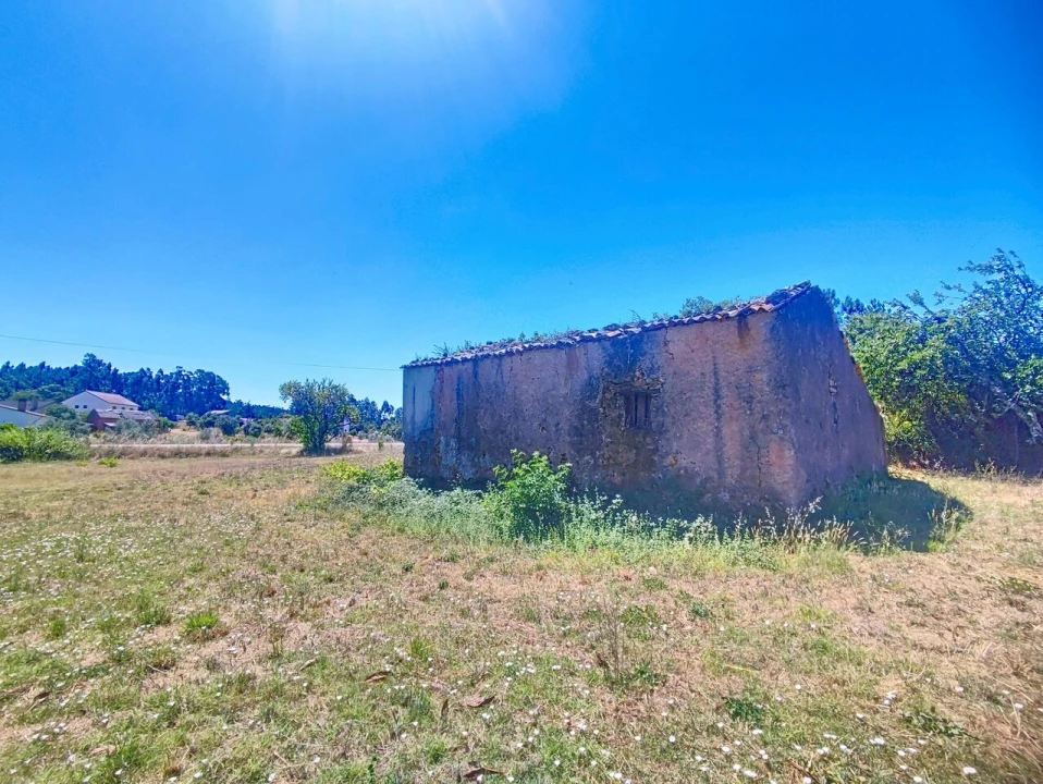 Terreno para Venda em Maçãs de D. Maria Foto 6