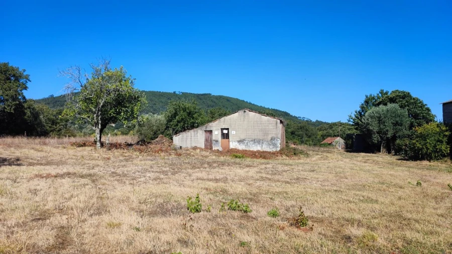Terreno para Venda em Maçãs de D. Maria Foto 2