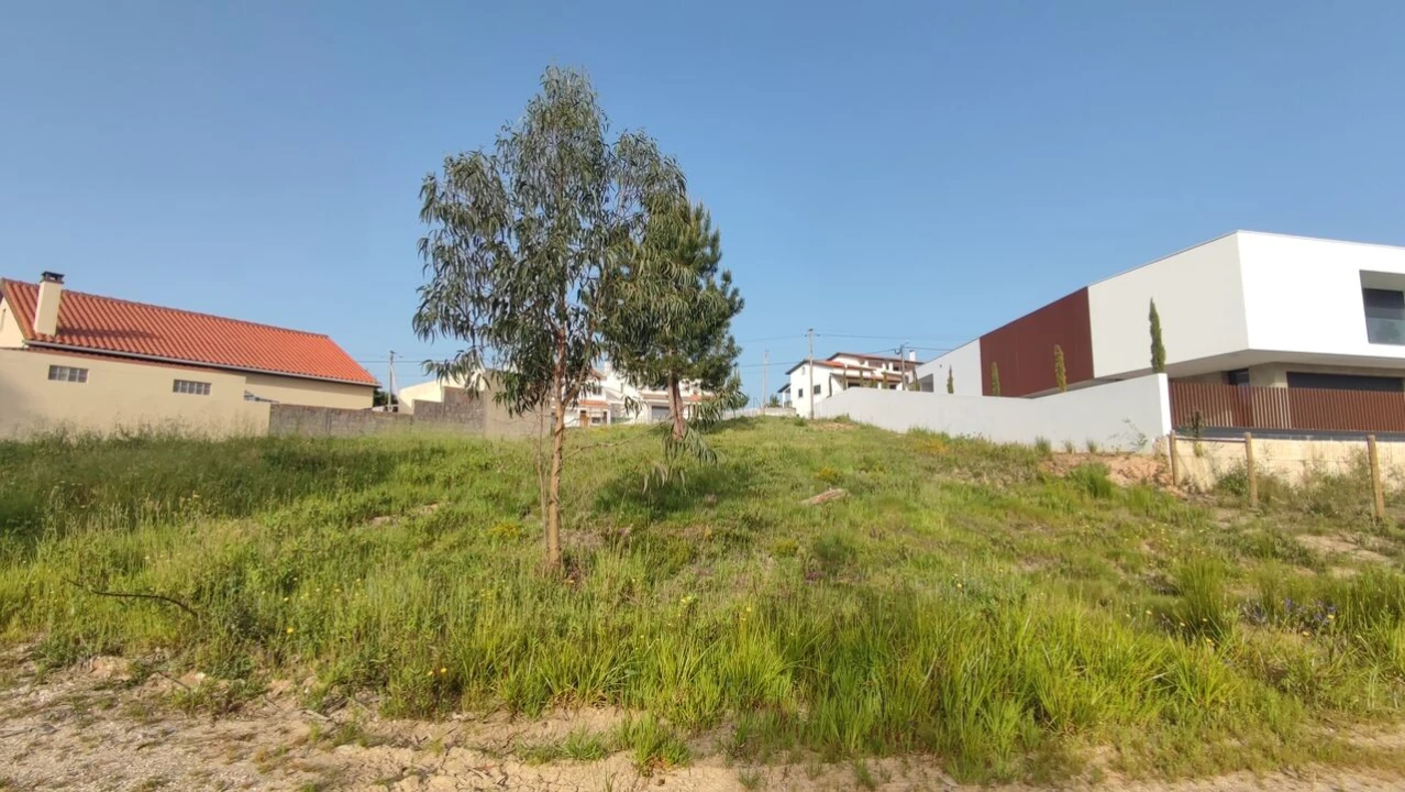 Terreno para Venda em Leiria, Pousos, Barreira e Cortes Foto 5