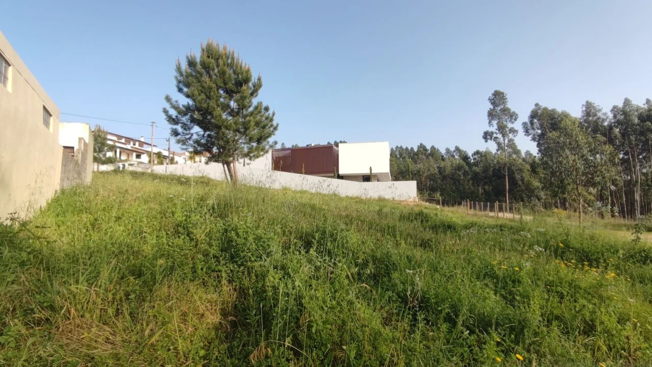 Terreno para Venda em Leiria, Pousos, Barreira e Cortes Foto 10