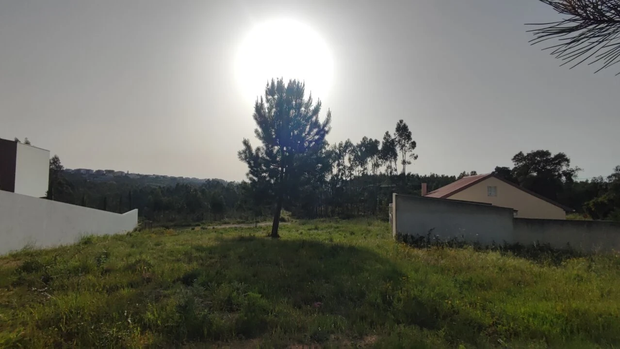 Terreno para Venda em Leiria, Pousos, Barreira e Cortes Foto 13