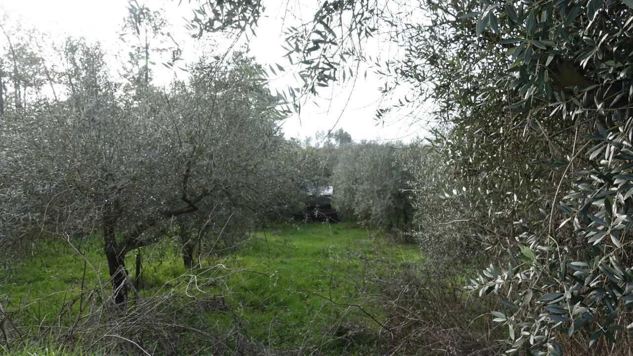 Quinta T1 para Venda em Vila Cã Foto 29