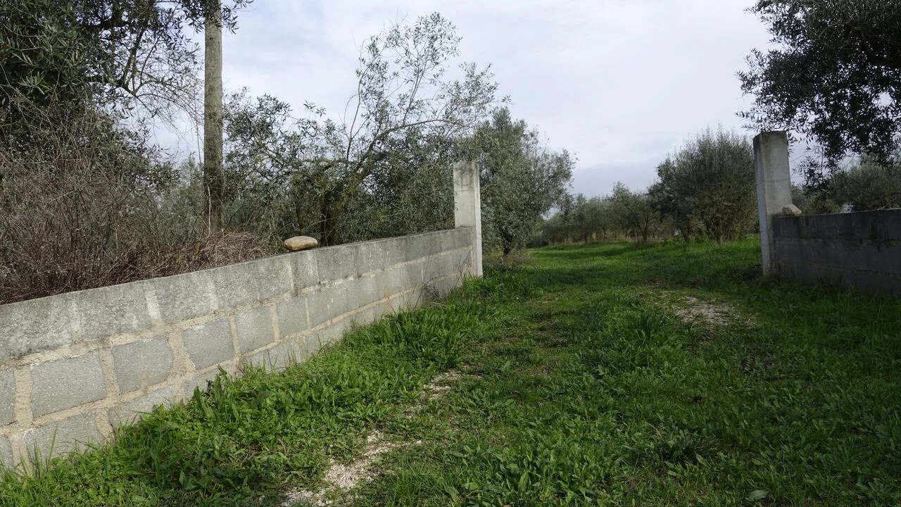 Quinta T1 para Venda em Vila Cã Foto 30