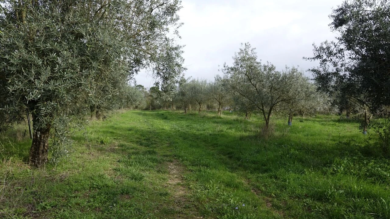 Quinta T1 para Venda em Vila Cã Foto 32