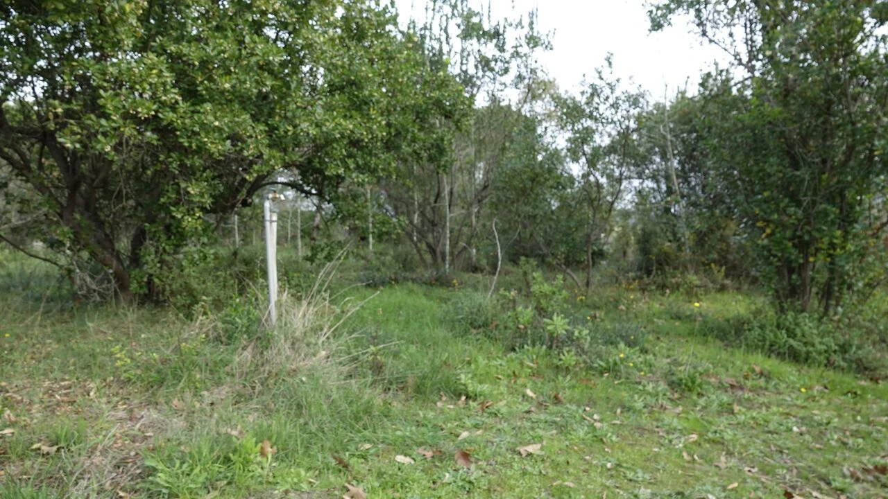 Quinta T1 para Venda em Vila Cã Foto 39