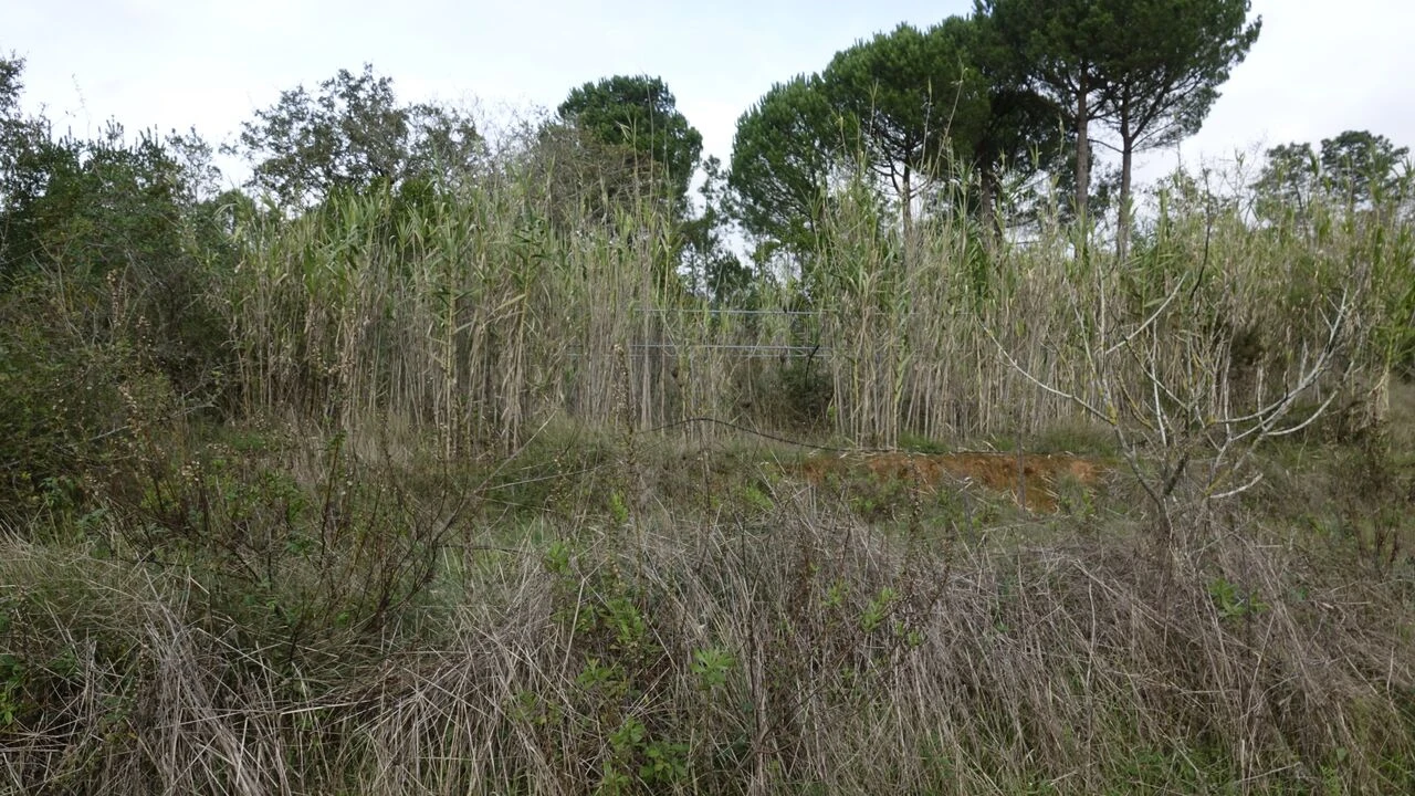 Quinta T1 para Venda em Vila Cã Foto 40