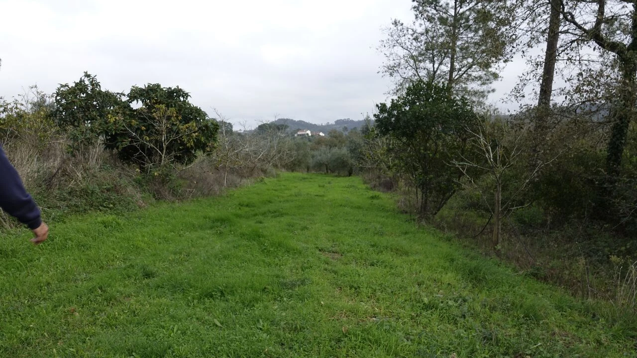 Quinta T1 para Venda em Vila Cã Foto 41