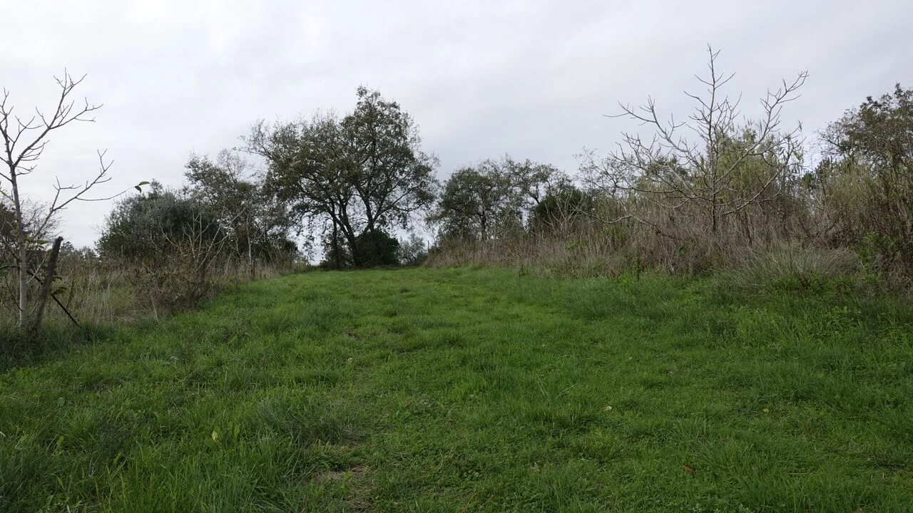 Quinta T1 para Venda em Vila Cã Foto 42