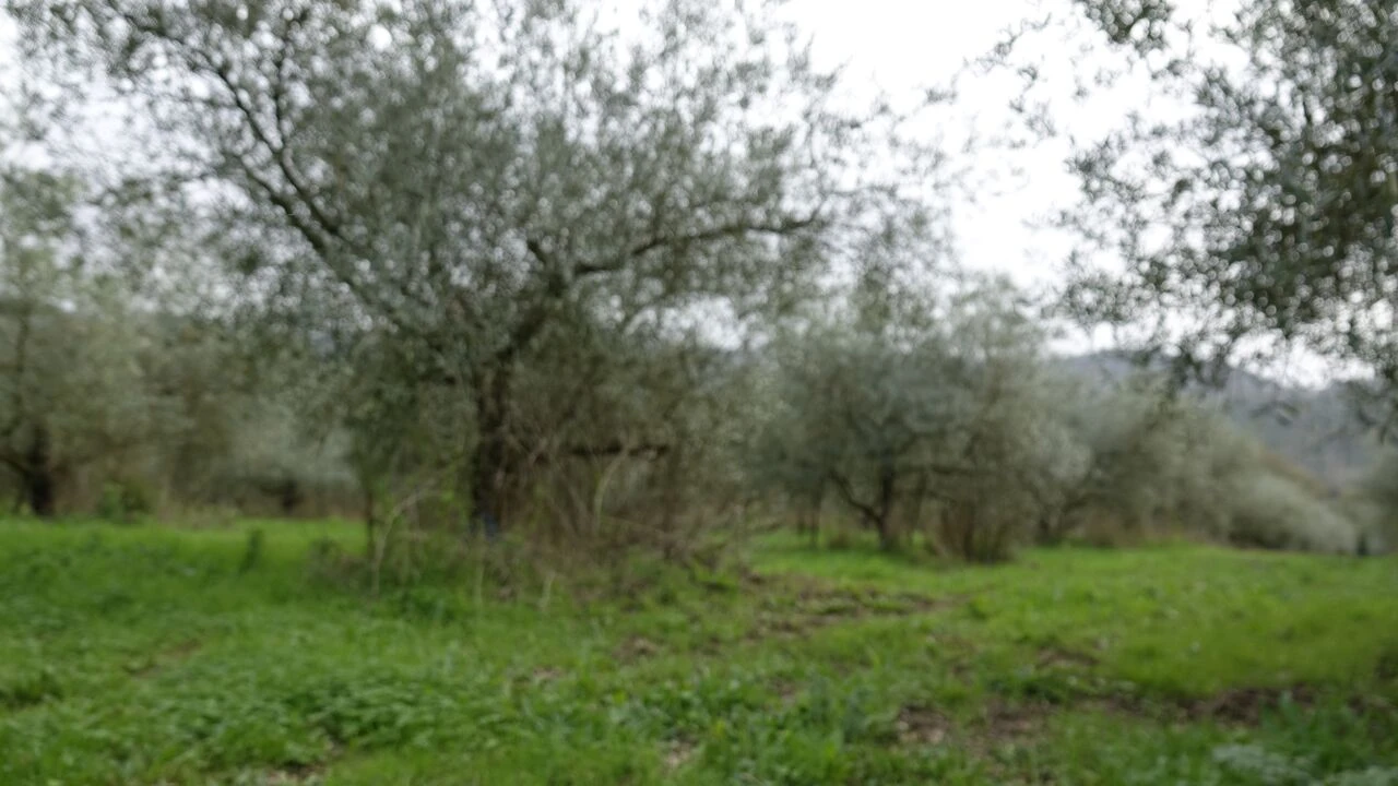 Quinta T1 para Venda em Vila Cã Foto 46