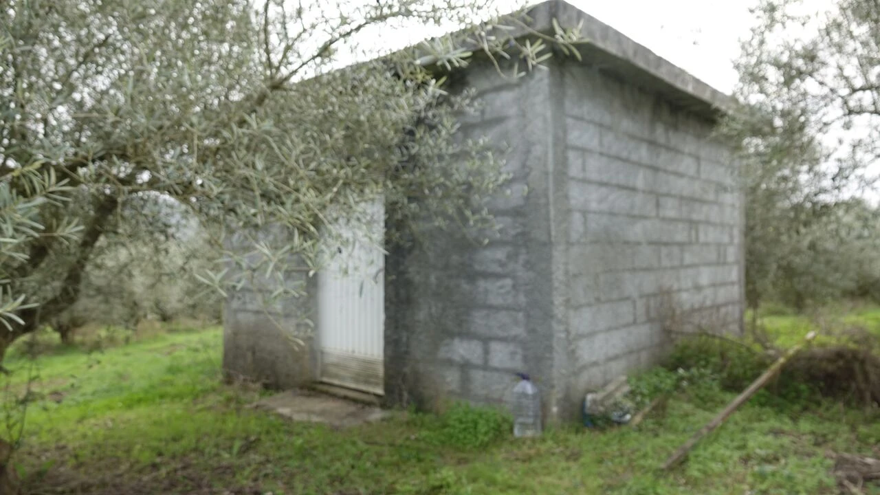 Quinta T1 para Venda em Vila Cã Foto 49