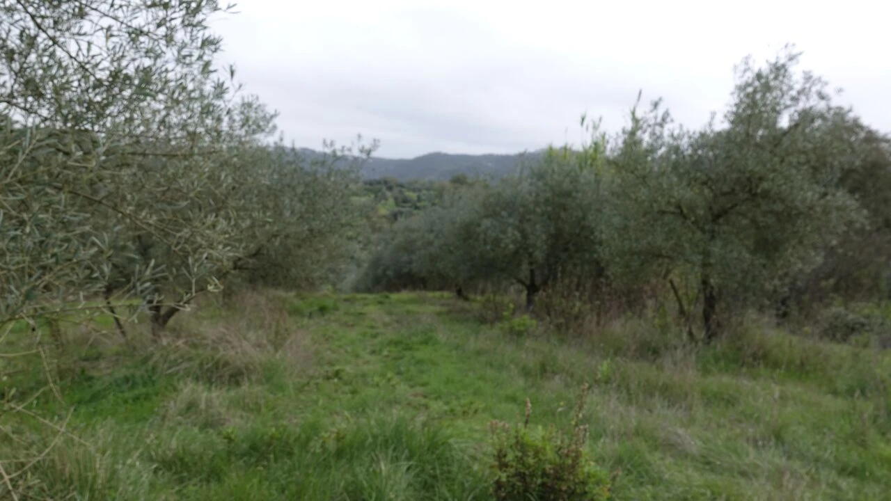 Quinta T1 para Venda em Vila Cã Foto 53