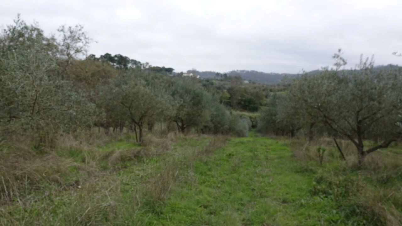 Quinta T1 para Venda em Vila Cã Foto 54