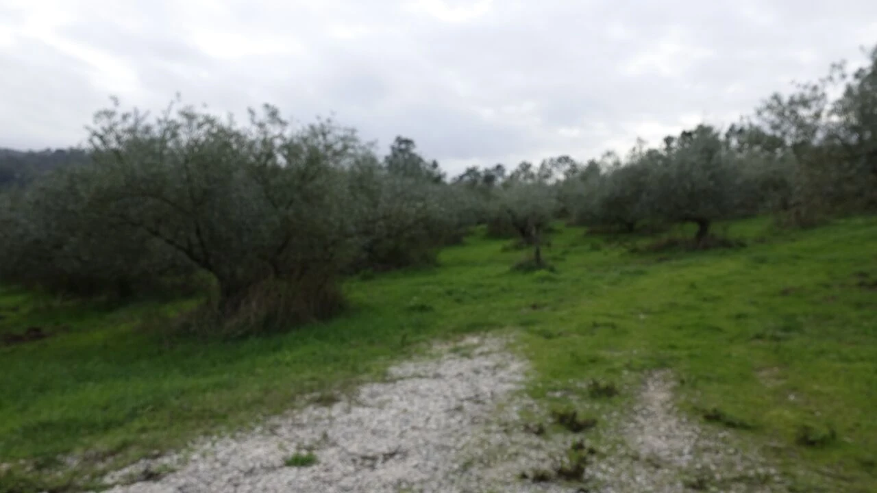 Quinta T1 para Venda em Vila Cã Foto 55