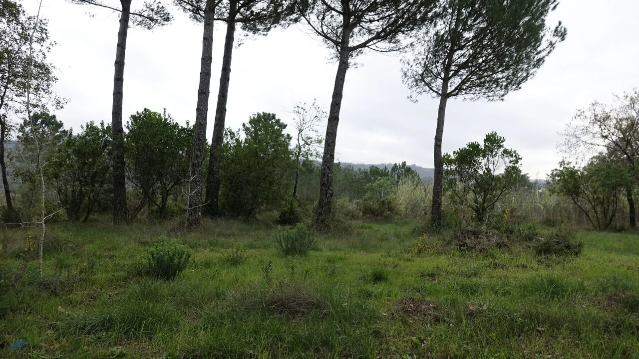 Quinta T1 para Venda em Vila Cã Foto 56