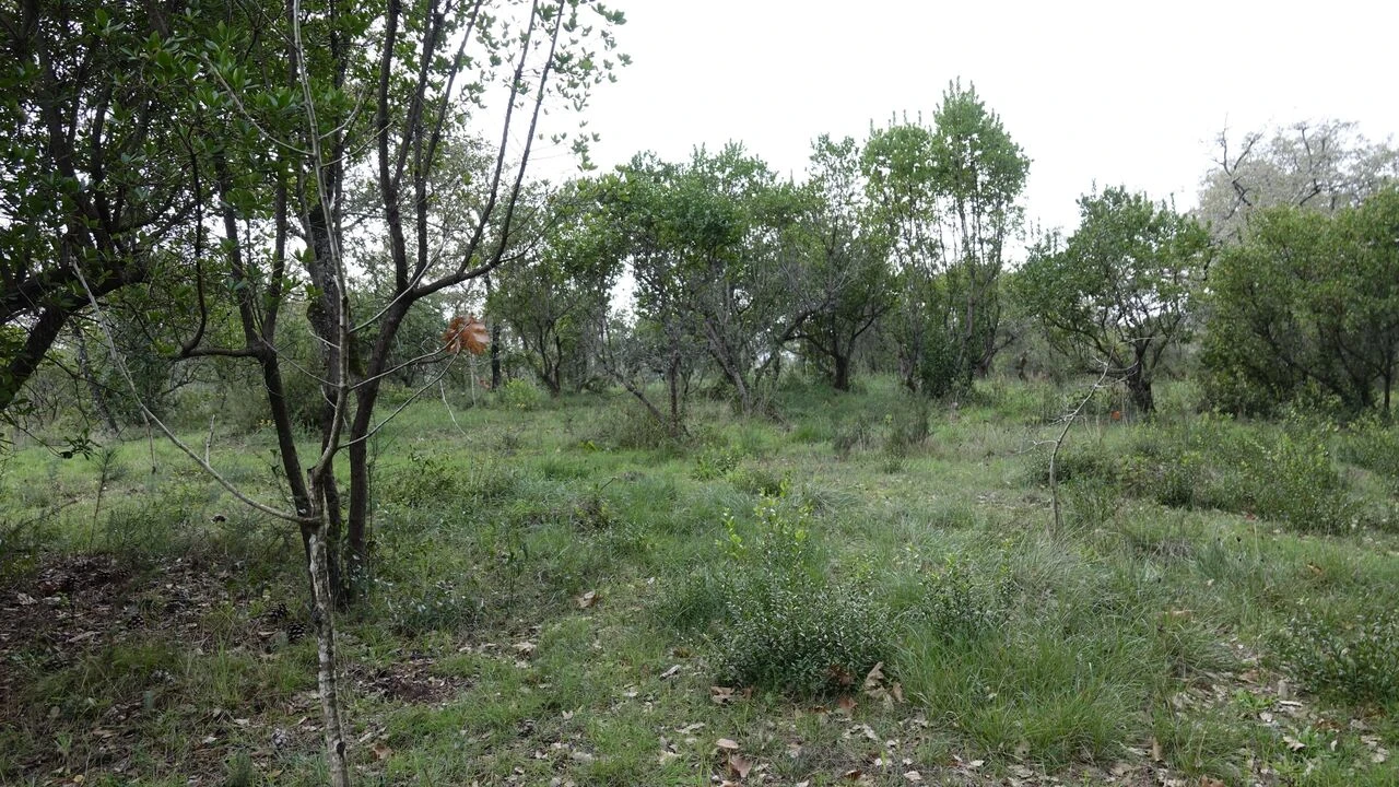 Quinta T1 para Venda em Vila Cã Foto 57