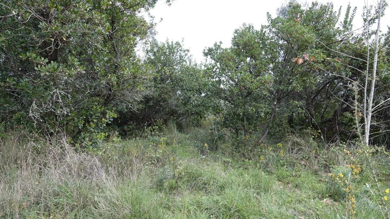 Quinta T1 para Venda em Vila Cã Foto 58