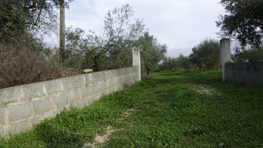 Quinta T1 para Venda em Vila Cã Foto 30