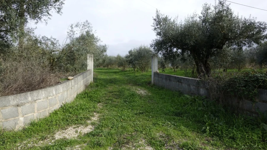 Quinta T1 para Venda em Vila Cã Foto 31