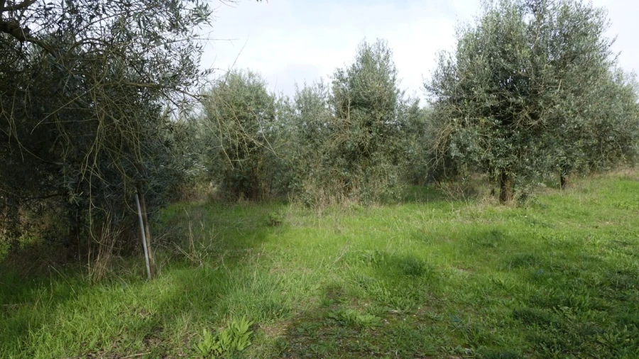 Quinta T1 para Venda em Vila Cã Foto 33