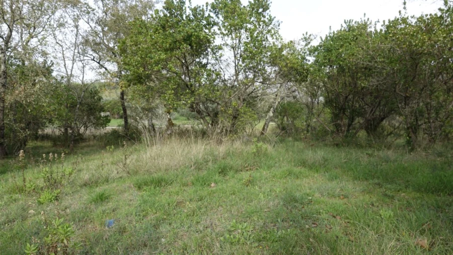 Quinta T1 para Venda em Vila Cã Foto 36