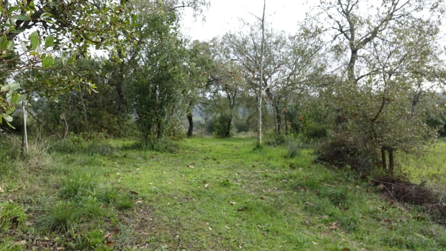 Quinta T1 para Venda em Vila Cã Foto 37