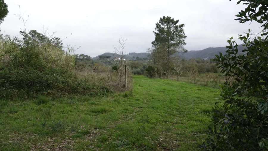 Quinta T1 para Venda em Vila Cã Foto 38