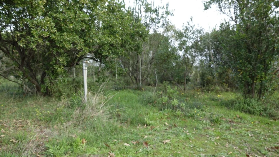 Quinta T1 para Venda em Vila Cã Foto 39