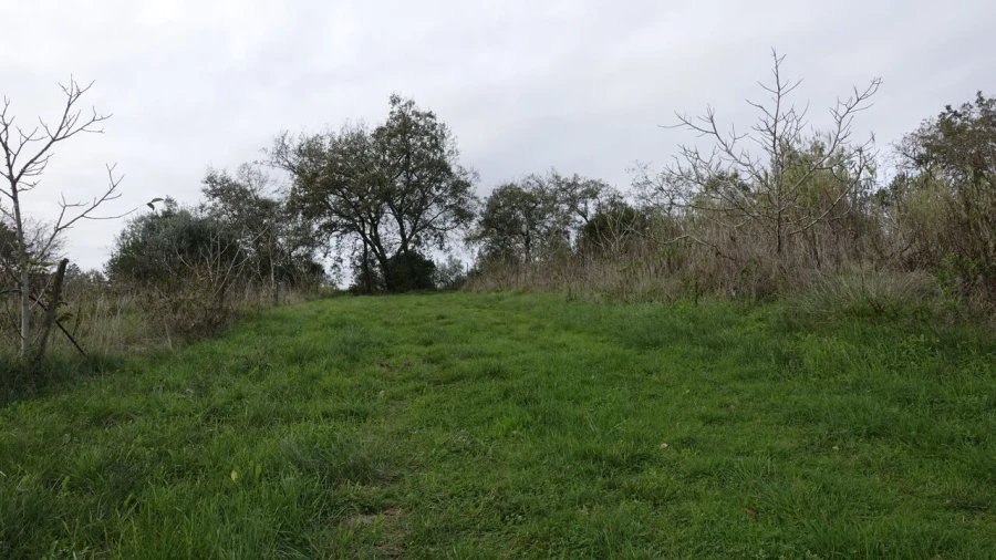 Quinta T1 para Venda em Vila Cã Foto 42