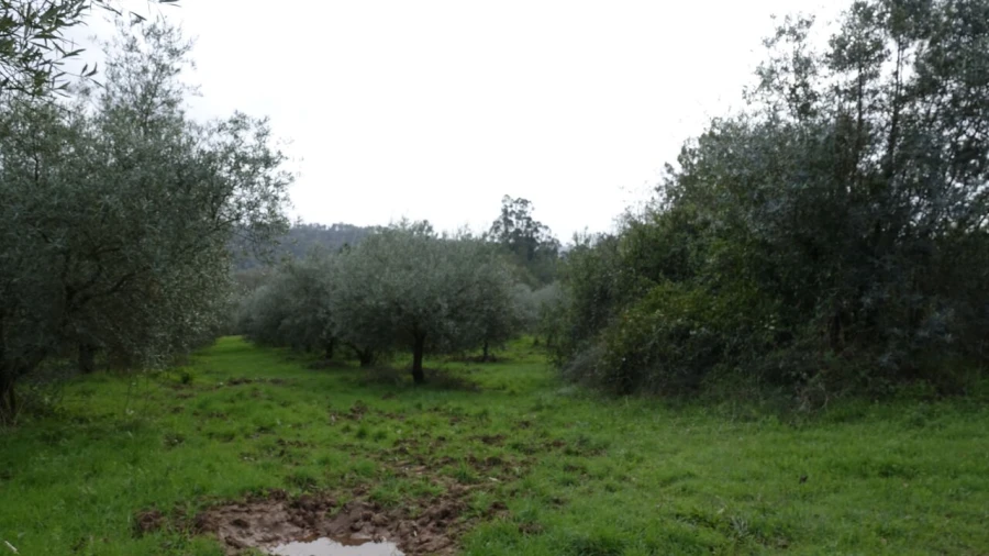 Quinta T1 para Venda em Vila Cã Foto 45