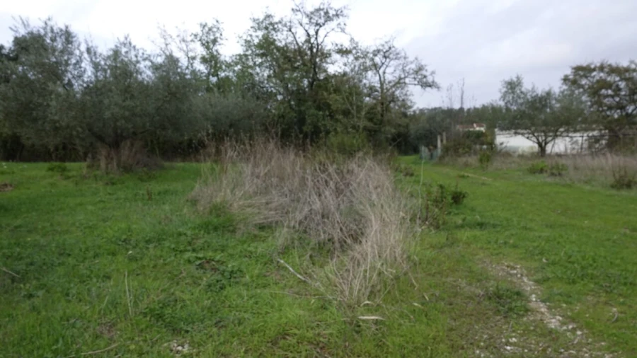 Quinta T1 para Venda em Vila Cã Foto 52