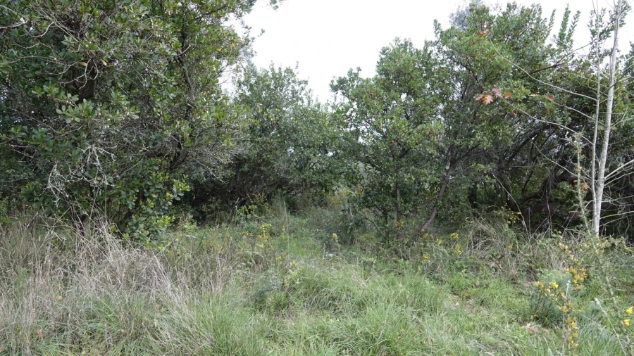 Quinta T1 para Venda em Vila Cã Foto 58