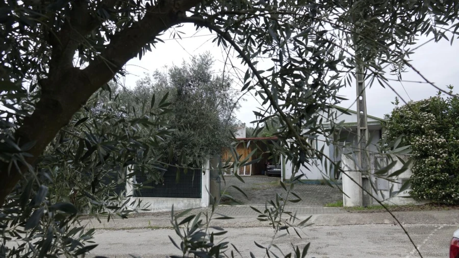 Quinta T1 para Venda em Vila Cã