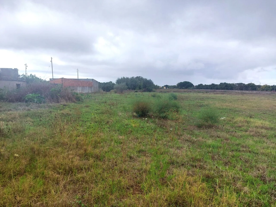 Terreno para Venda em Marinhais Foto 4