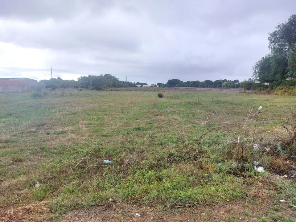 Terreno para Venda em Marinhais Foto 5