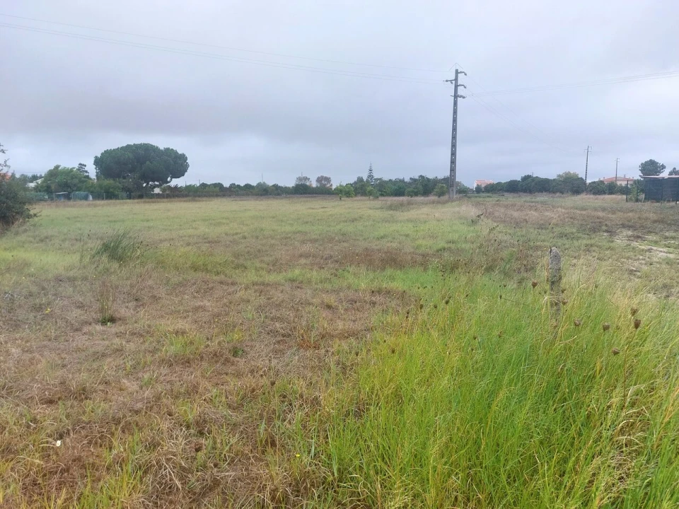 Terreno para Venda em Marinhais Foto 8