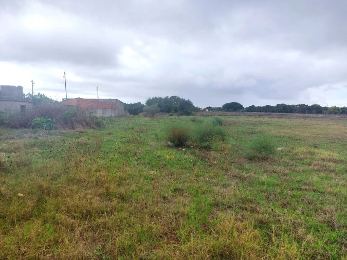 Terreno para Venda em Marinhais Foto 4