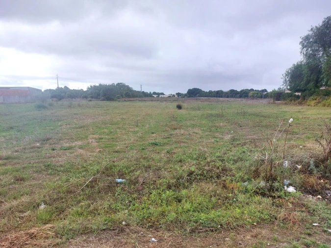 Terreno para Venda em Marinhais Foto 5