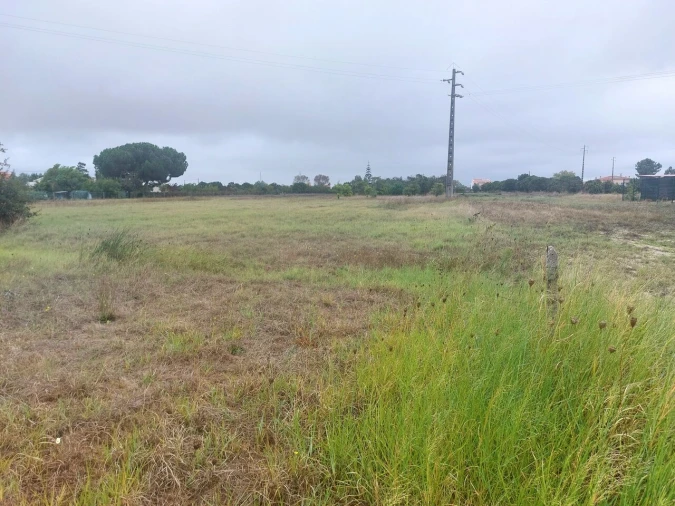 Terreno para Venda em Marinhais Foto 8