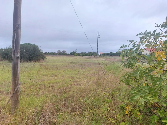 Terreno para Venda em Marinhais Foto 10