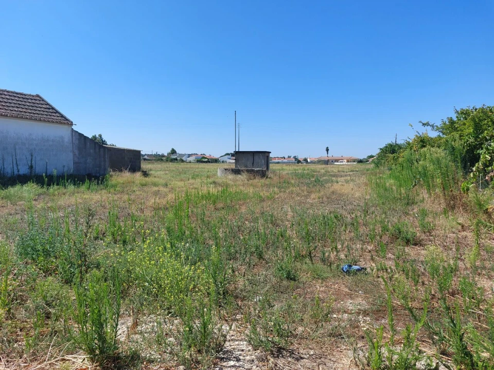 Terreno para Venda em Marinhais Foto 4