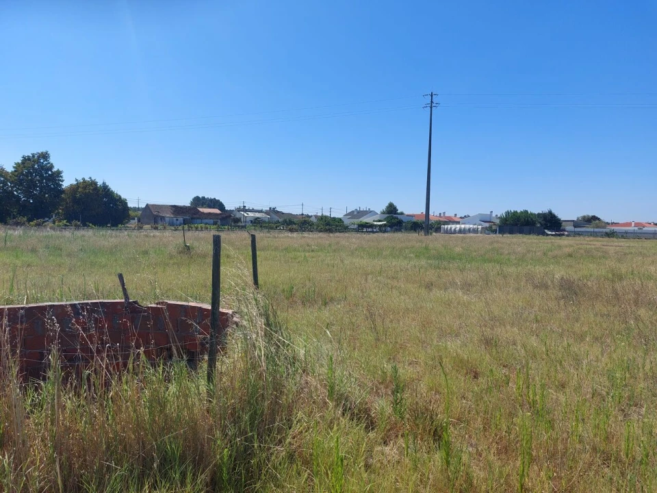 Terreno para Venda em Marinhais Foto 6