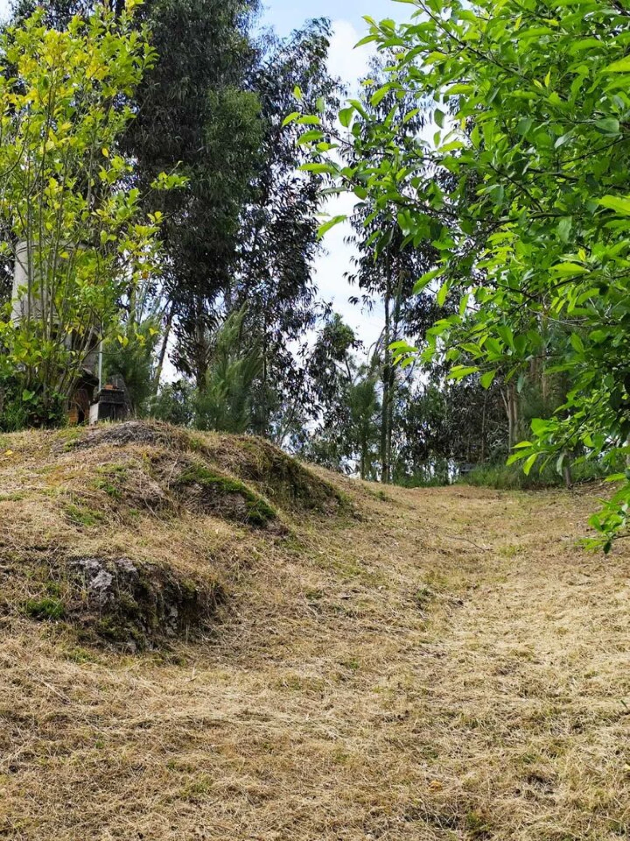Quinta T5 para Venda em Lufrei Foto 33