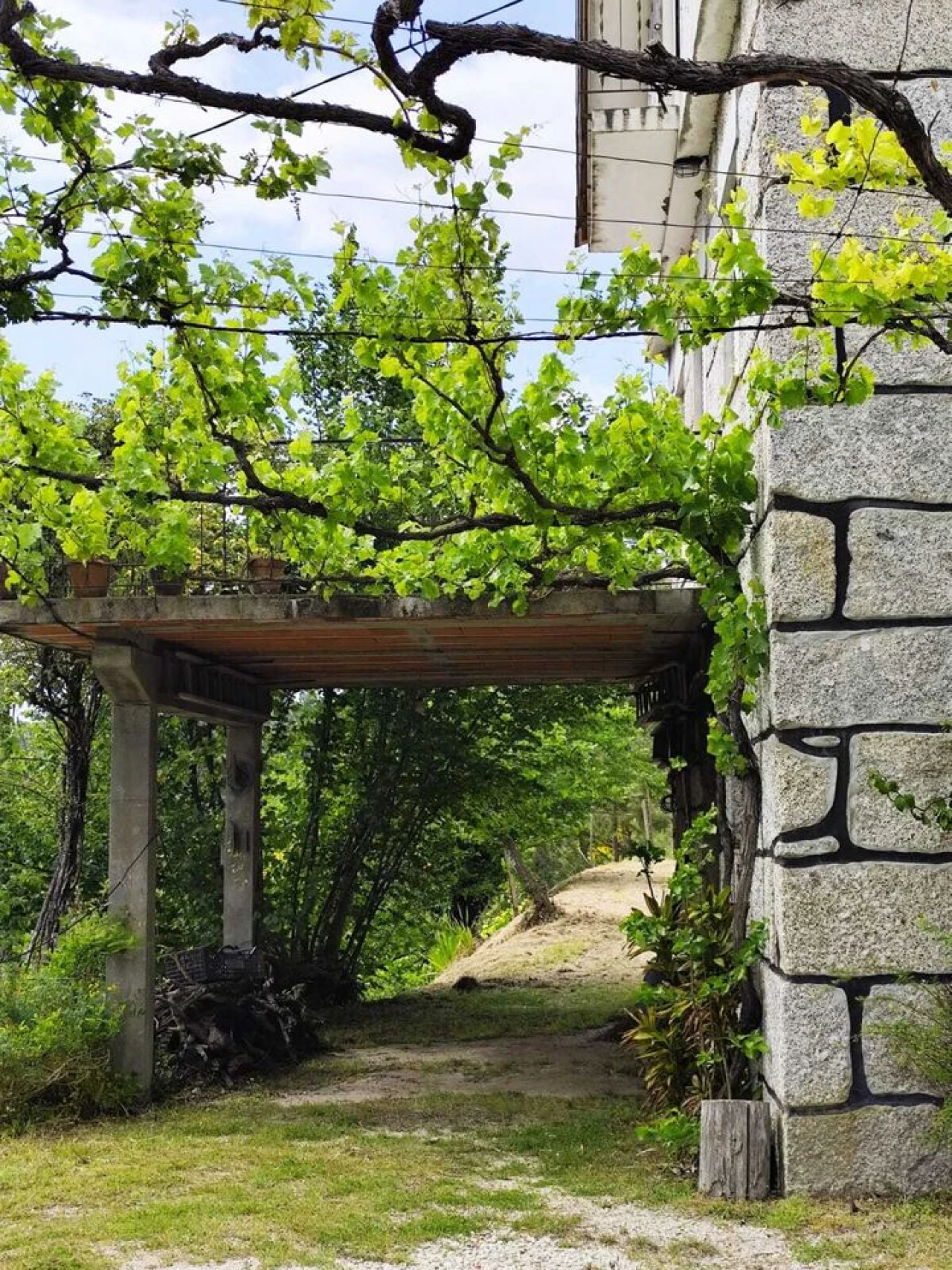 Quinta T5 para Venda em Lufrei Foto 14