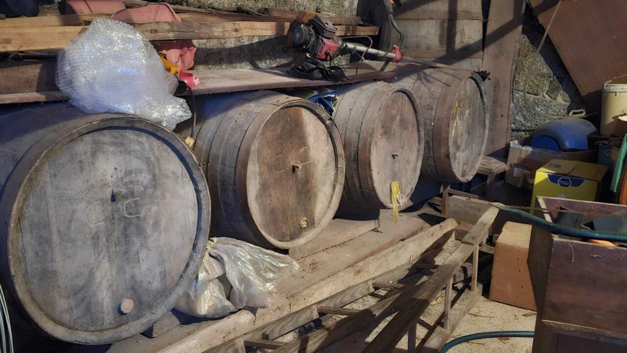 Quinta T5 para Venda em Lufrei Foto 18