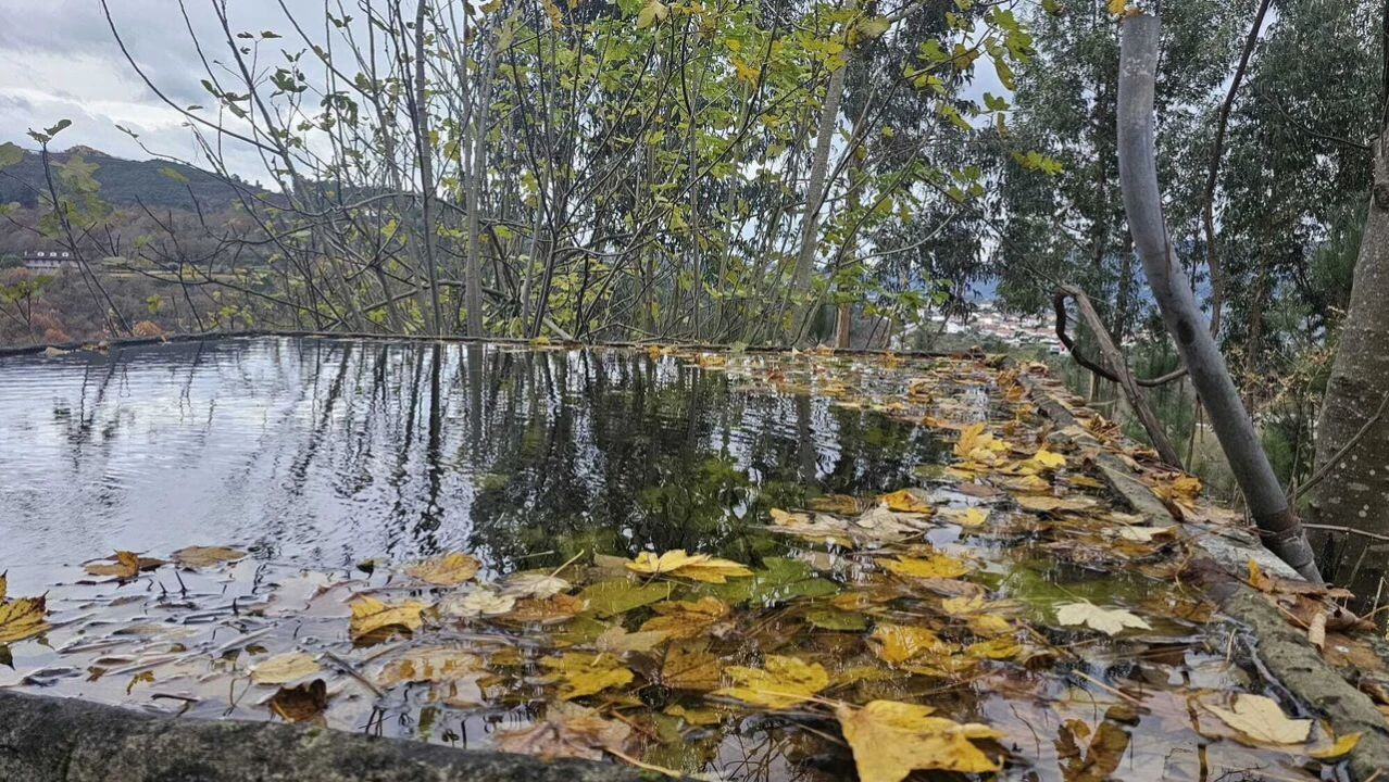 Quinta T5 para Venda em Lufrei Foto 19