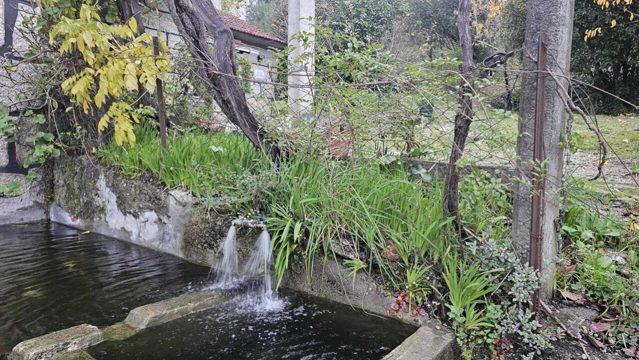 Quinta T5 para Venda em Lufrei Foto 20