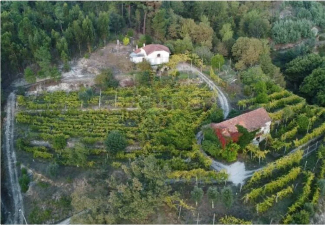 Quinta T5 para Venda em Lufrei Foto 22